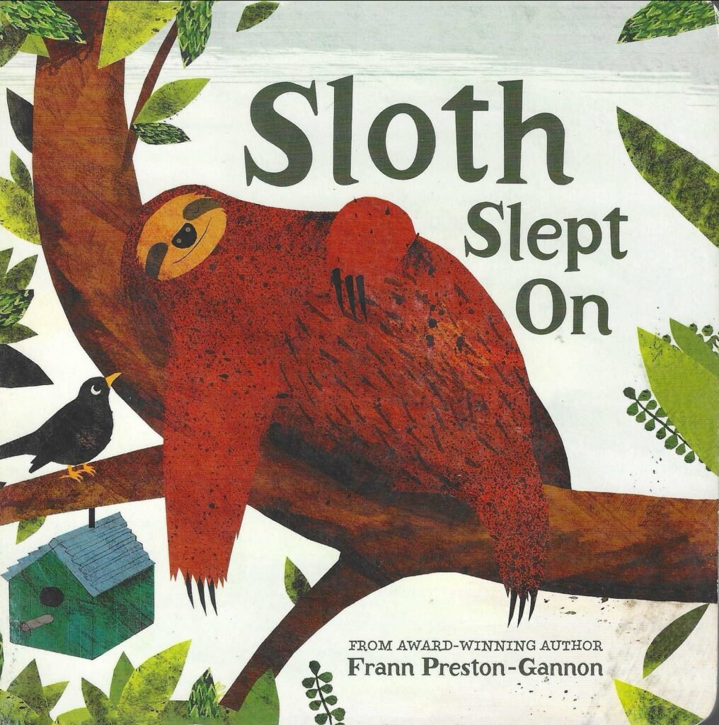 Sloth Slept On