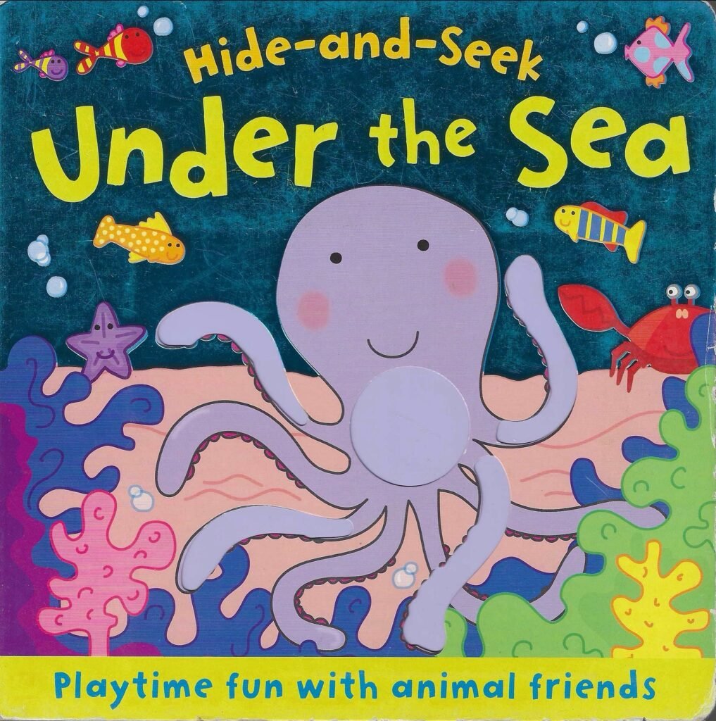 Hide-and-Seek Under the Sea